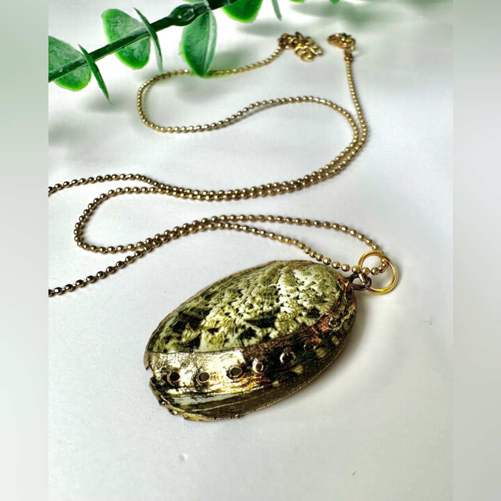 💛Gold Dipped Abalone Shell Pendant Necklace